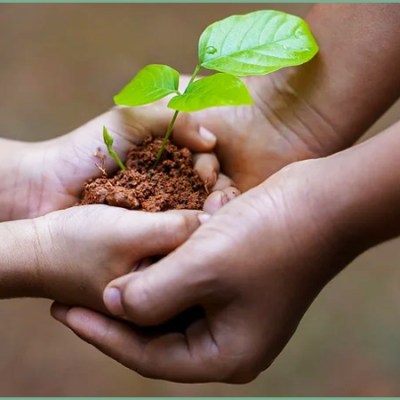 Legacy – A Tribute