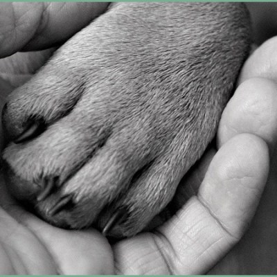 The Heart of a Mother